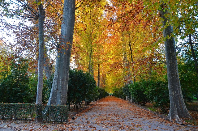 Viaje a Aranjuez en furgoneta camper